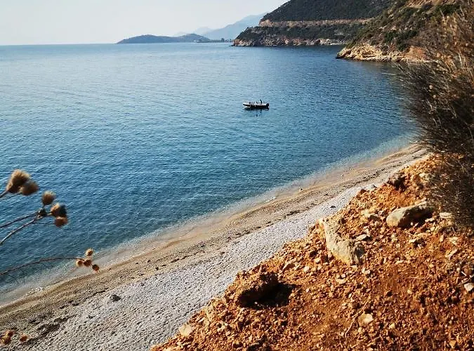 Mikes View Apartament *